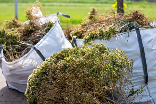 Best Trash Removal Near Me  in Monument, CO